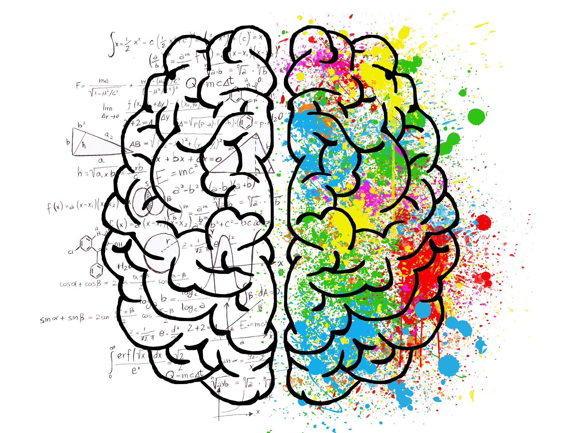 cerebro_10